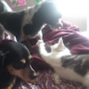 Meet your Posher, Adrian